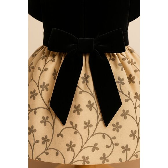 Biscotti Girls Velvet Top Floral Tulle Party Dress with Headband Size 2T - Picture 7 of 10